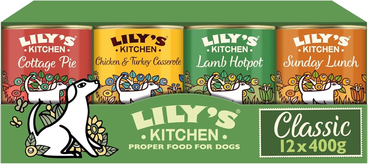 Lily's Kitchen Natural Wet Food for Adult Dogs - 12 Varied Cans