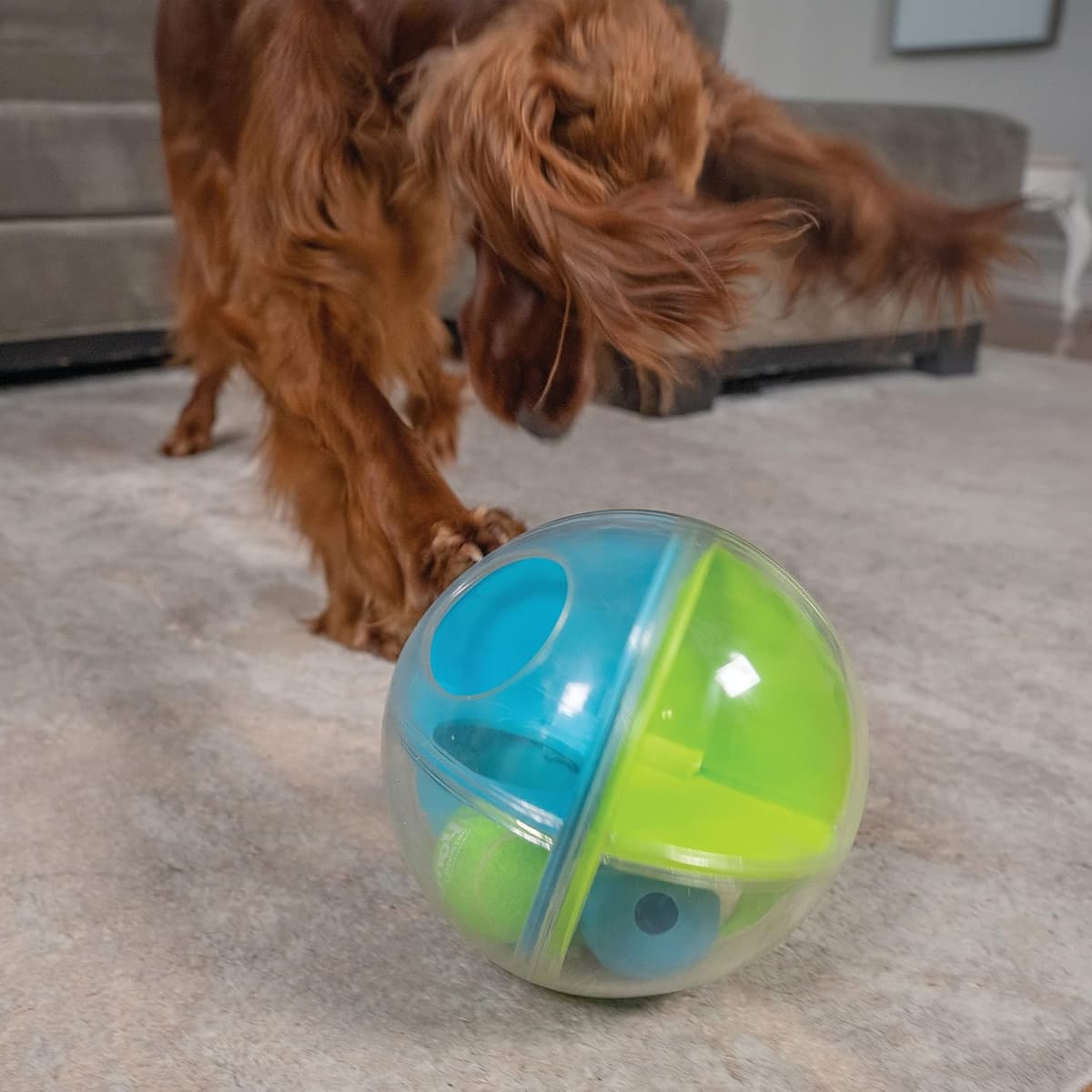 Outward Hound Nina Ottosson A-Maze Ball: Interactive Puzzle for Dogs - https://m.media-amazon.com/images/I/91XNjpmrgYL._AC_SL1500_.jpg